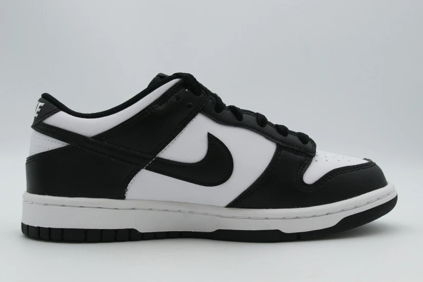 Nike Dunk Low Sneakers (IU7766 100)