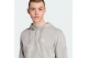 Adidas Originals Trefoil Essentials Ζακέτα Με Κουκούλα Γκρι