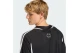 Adidas Originals Teamgeist Adicolor Ανδρικό Κοντομάνικο T-Shirt Μαύρο, Λευκό