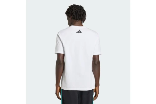 Adidas Performance Mercedes-Amg Petronas F1 Dna Graphic T-Shirt Ανδρικό (KE8164)