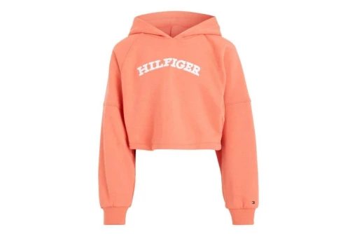 Tommy Jeans Monotype Hoodie (KG0KG07381 XKI)