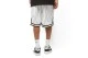 Karl Kani Small Signature Pinstripe Mesh Ανδρική Αθλητική Βερμούδα Λευκή, Μαύρη