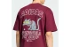 Adidas Originals X The Simpsons Snowball Graphic Ανδρικό Κοντομάνικο T-Shirt Μπορντό, Διάφορα Χρώματα