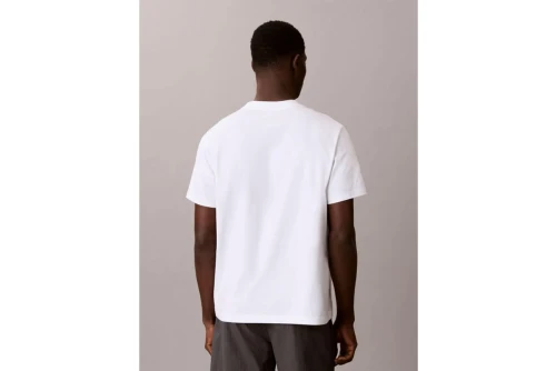 Calvin Klein Relaxed Logo T-Shirt Ανδρικό (LV04LG812G YAF)