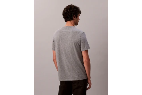 Calvin Klein Cotton Badge T-Shirt Ανδρικό (LV04RC272G P7E)