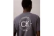 Calvin Klein Embroidered Logo Ανδρικό Κοντομάνικο T-Shirt Γκρι Σκούρο