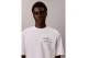 Calvin Klein Relaxed Script Logo Ανδρικό Κοντομάνικο T-Shirt Λευκό