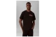 Calvin Klein Relaxed Back Logo Ανδρικό Κοντομάνικο T-Shirt Μαύρο, Ροζ