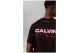 Calvin Klein Relaxed Back Logo Ανδρικό Κοντομάνικο T-Shirt Μαύρο, Ροζ