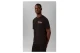 Calvin Klein Relaxed Back Logo Ανδρικό Κοντομάνικο T-Shirt Μαύρο, Ροζ