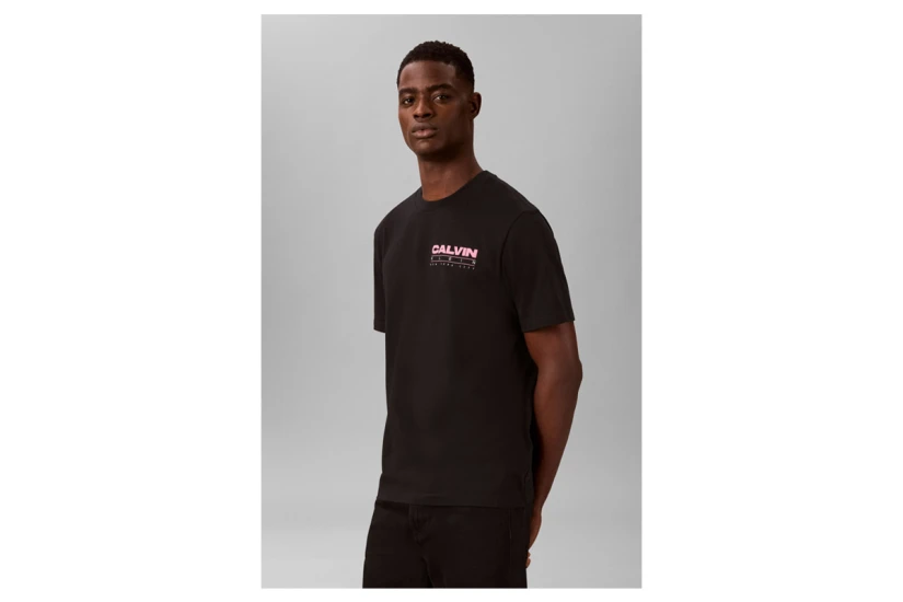 Calvin Klein Relaxed Back Logo Ανδρικό Κοντομάνικο T-Shirt Μαύρο, Ροζ