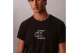 Calvin Klein Monogram Gifting T-Shirt Ανδρικό (LV04RH257G UB1)