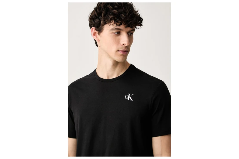 Calvin Klein Back Graphic Ανδρικό Κοντομάνικο T-Shirt Μαύρο