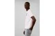 Calvin Klein Logo Graphic Ανδρικό Κοντομάνικο T-Shirt Λευκό