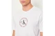 Calvin Klein Word Circle Graphic Ανδρικό Κοντομάνικο T-Shirt Λευκό