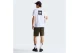 The North Face Evolution NSE Box Regular Ανδρικό Κοντομάνικο T-Shirt Λευκό