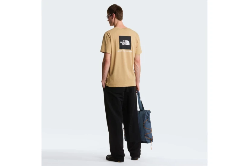 The North Face Evolution NSE Box Regular Ανδρικό Κοντομάνικο T-Shirt Μπεζ