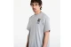 The North Face Celebration Relaxed Graphic Ανδρικό Κοντομάνικο T-Shirt Γκρι