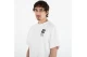 The North Face Celebration Relaxed Graphic Ανδρικό Κοντομάνικο T-Shirt Λευκό