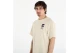 The North Face Icon Celebration Regular Graphic Ανδρικό Κοντομάνικο T-Shirt Μπεζ