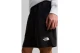 The North Face Simple Dome Light Regular Ανδρικό Αθλητικό Σορτς Μαύρο